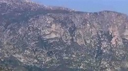 I Spy a Gorilla on El Capitan