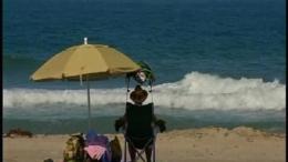 Shark Sightings in Mission Beach