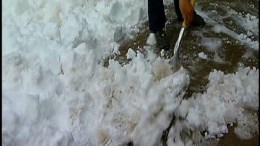 Snow Falls on Valentine's Day