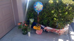 Gun Owner Arrested in Boy's Death