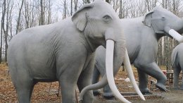 Pachyderms Pack Up