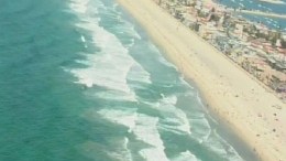Shark Sighting Prompts Mission Beach Closure 