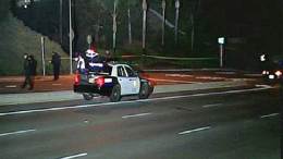 La Mesa Surgeon Killed in Motorcycle Crash 