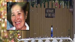 Pit Bull Victim in Critical Condition