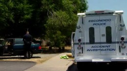 Toddler Struck by Car in Driveway