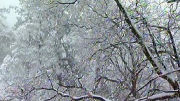 A Winter Storm At Last