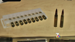 Guns Used in Colorado Shooting Easily Obtained