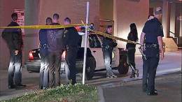 Woman Found Naked, Unconscious in PB Alley