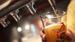 SD Breweries Dominate World Beer Cup