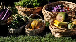 San Diego Embraces Farm-to-Table