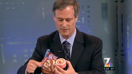 Healthy Heart Tips and Guidelines