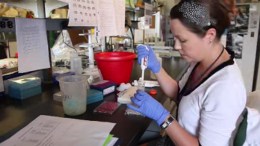 Salk Drug May Reverse Alzheimer’s Damage