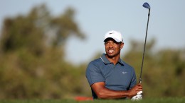 Tiger Woods Echoes Mickelson's Tax Concerns