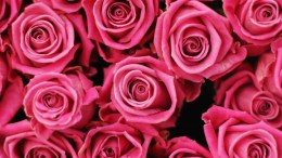 San Diego Valentine's Day Events