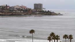 Mayor Vows to Wipe Out La Jolla Bird Stench