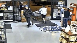 Arrest Made in Theft of Girl Scout Cookie Money