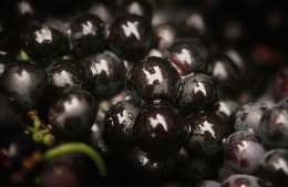 10 Reasons to Drink Local