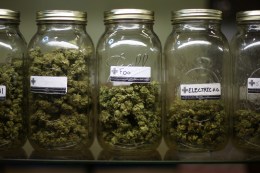 San Jose to Limit Medical Marijuana Clubs