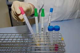 Fourth Local Swine Flu Death Reported