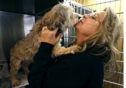 318 Dead Cats, Dogs Removed From Home 