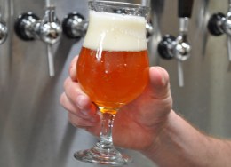What's Brewing: Craft Beer Month