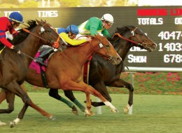Is Hollywood Park Horse Racing on its Last Legs?
