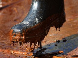 Gulf Oil Spill In Pictures