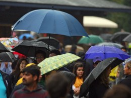 Raining on Their Parade 