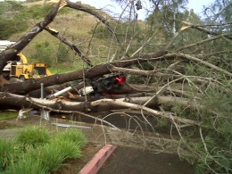 Winter Storm Damage