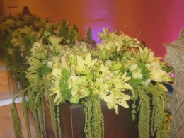 Sightings at "Culture and Cocktails"