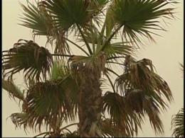 Storm Video: Mission Beach Boardwalk