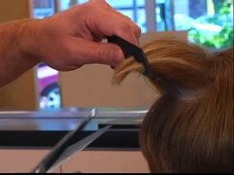 Using Hair to Soak Up Oil