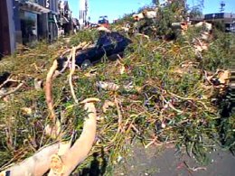 Damaging Winds Sweep County