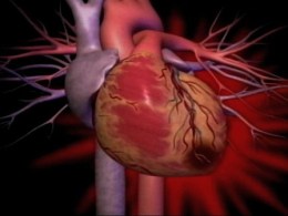 Cal Closer to Building "Organs from Scratch"