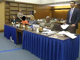 Old Town Trolley Killer Pleads Guilty