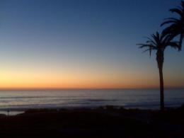 San Diego's Beach Bars 