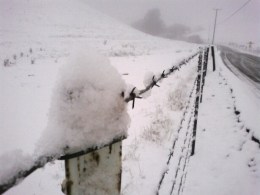 Snow in the Bay Area? You Betcha
