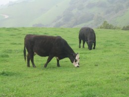 Agriculture Subsidy Data Sure to Stir Up a Dish of Resentment