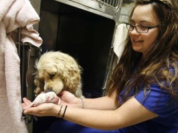 Runt Rescued from Kennel Drain