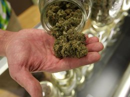 Politicians Come Out for Pot Protest