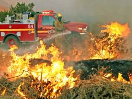 Pendleton Fire: 900 Homes Evacuated in Yucaipa