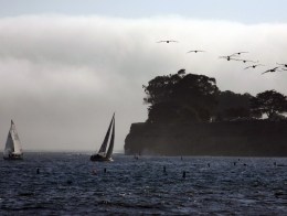 Worth the Drive: Santa Barbara Sea Festival