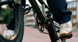 Freak Accident Raises Questions About Biking With Dogs