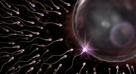 Heart-Stopping Sperm Births New Rules for Donors
