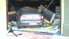Car Crashes into Pet Store