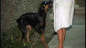 Woman's Attack a Hoax: Cops