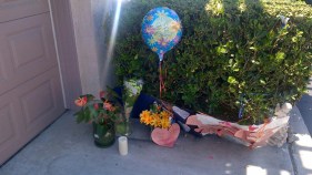 Gun Owner Arrested in Boy's Death