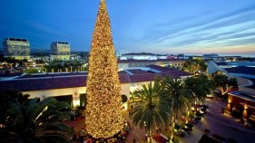 Orange County Tree Lightings