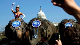 Opinion: Republican Demise is Bad for All of Us