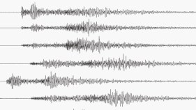 Did You Feel That Earthquake?